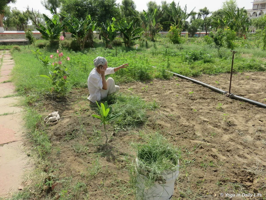 cleaning north champa line 72dpi 1200 wm